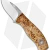 Fiddleback Forge Runt Knife Ash Burl (2" Satin)