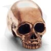 Lion ARMory Classic Skull Bead Copper